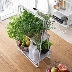 West Elm A Collection Shelf Unit