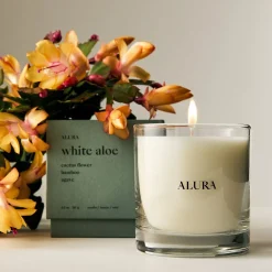 West Elm Alura Homescent Collection - White Aloe
