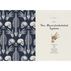 Kids West Elm Anatomicum