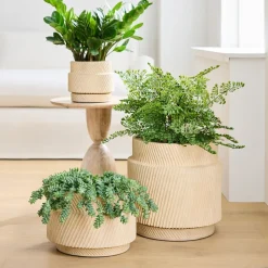 West Elm Asher Ceramic Planters