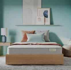 West Elm BeautySleep by Beautyrest® Slumberscape Hybrid Mattress