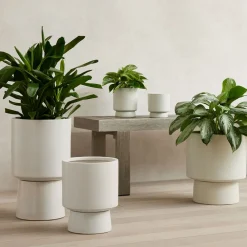West Elm Bishop Ceramic Indoor/Outdoor Pedestal Planters