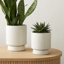 West Elm Bishop Ceramic Indoor/Outdoor Tabletop Planters