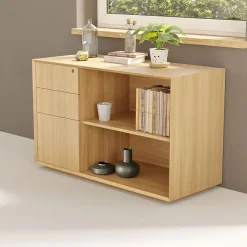 West Elm Branch Credenza