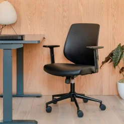 West Elm Branch Daily Desk Chair