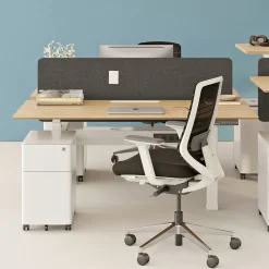 West Elm Branch Double Standing Desk