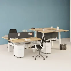 West Elm Branch Double Standing Desk