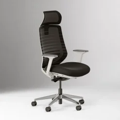 West Elm Branch Ergonomic Chair w/ Headrest