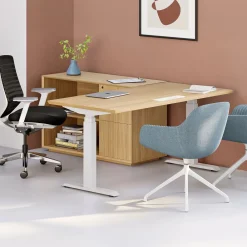 West Elm Branch Standing Desk