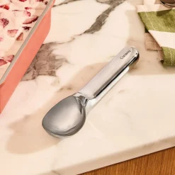 West Elm Caraway Ice Cream Scoop