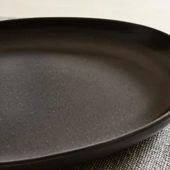 West Elm Casafina Pacifica Stoneware Oval Platter