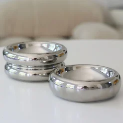 West Elm Catenary Halo Chrome Pet Bowl