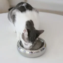 West Elm Catenary Halo Chrome Pet Bowl