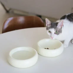 West Elm Catenary Halo Pet Bowls