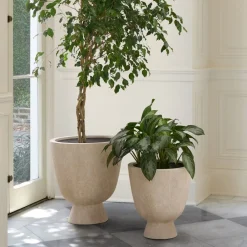 West Elm Colin King Ficonstone Indoor/Outdoor Pedestal Planters