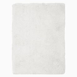West Elm Cozy Plush Performance Shag Rug