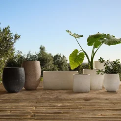 West Elm Curved Ficonstone Indoor/Outdoor Planter Collection