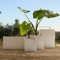 West Elm Curved Square Ficonstone Indoor/Outdoor Planters