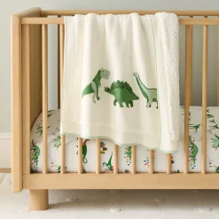 Kids West Elm Dino Baby Blanket