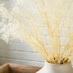 West Elm Dried Gypso Bunch