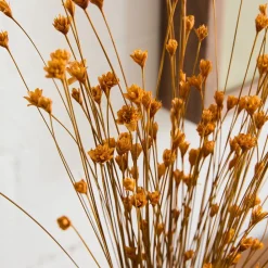 West Elm Dried Hill Flower Stems