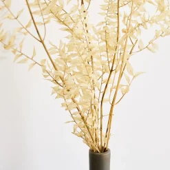 West Elm Dried Ivory Ruscus Branch