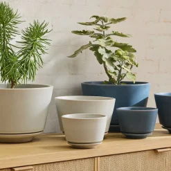 West Elm Elora Ceramic Planters