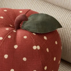 West Elm Emma Chamberlain Apple Pillow