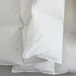 West Elm European Down Duvet Insert