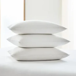 West Elm European Down Pillow Insert