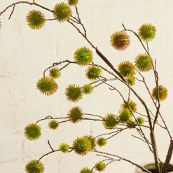 West Elm Faux Chestnut Stem