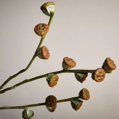 West Elm Faux Eucalyptus Pod Branch