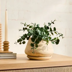 West Elm Faux Eucalyptus Potted Plant