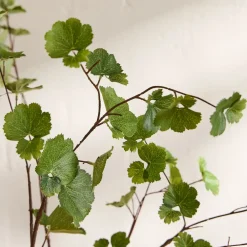 West Elm Faux Herb Leaf