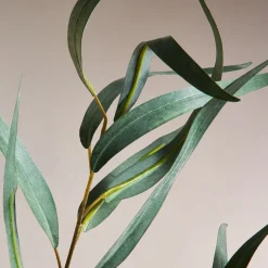 West Elm Faux Long Leaf Eucalyptus Branch