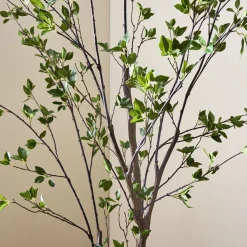 West Elm Faux Minimalist Citrus Potted