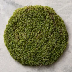 West Elm Faux Moss Charger