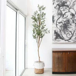 West Elm Faux Olive Tree w/ Handmade Jute Basket