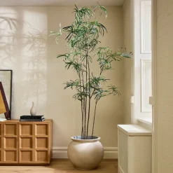 West Elm Faux Potted Australian Bottleneck Tree