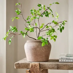 West Elm Faux Potted Bursera