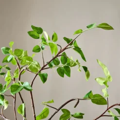 West Elm Faux Potted Bursera