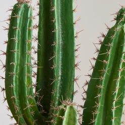 West Elm Faux Potted Cactus Plant