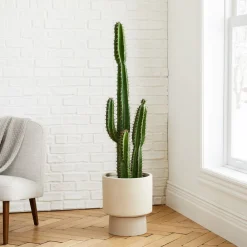 West Elm Faux Potted Cactus Plant & Large Bishop Planter Bundle