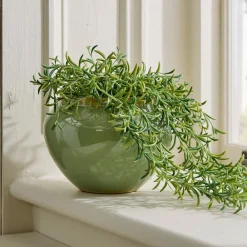 West Elm Faux Potted Drippy