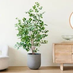 West Elm Faux Potted Ficus Tree & Radius Planter Bundle