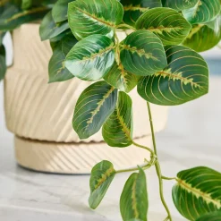 West Elm Faux Potted Herringbone Maranta