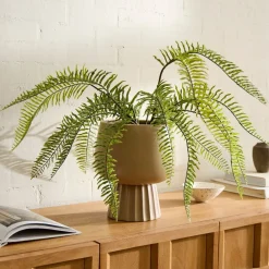 West Elm Faux Potted Long Drippy