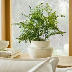 West Elm Faux Potted Maidenhair Fern