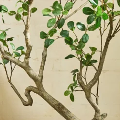 West Elm Faux Potted Manzanita Tree