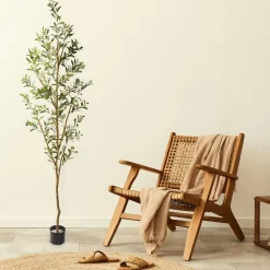 West Elm Faux Potted Olive Tree